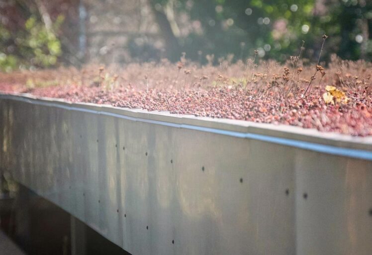 Facaderenovering og optimering af udearealer for Virum Skole