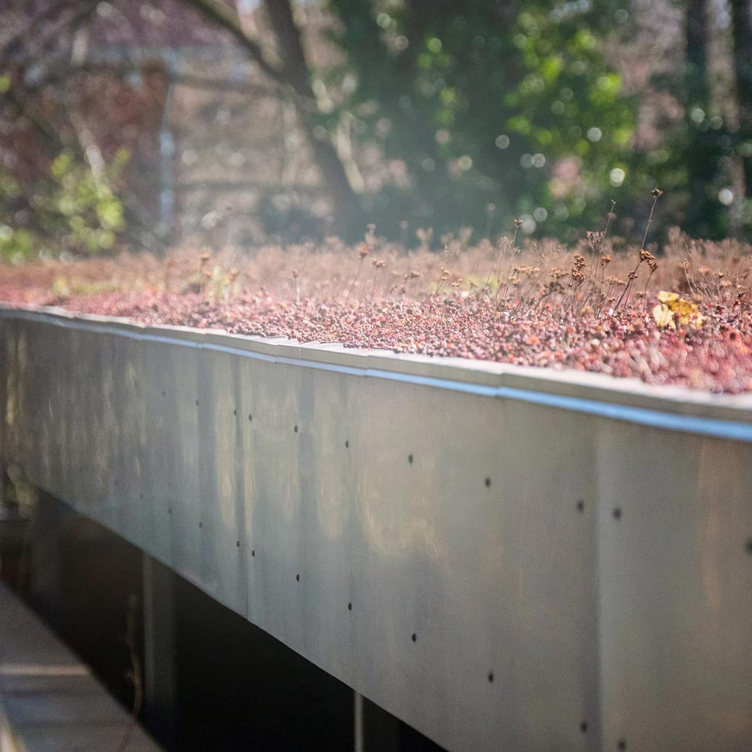 Facaderenovering og optimering af udearealer for Virum Skole