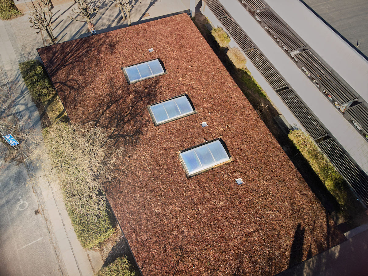 Facaderenovering og optimering af udearealer for Virum Skole